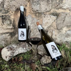 Vino Cien años de Castora